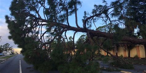 As Hurricane Michael Topples Trees Who Is Responsible For The Cleanup