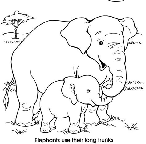 Mommy And Baby Animals Coloring Pages Baby Animals And Mom Coloring