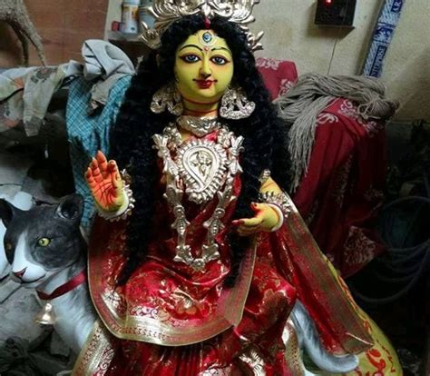 Goddess Of Cat Of Hinduism Goddess Shasthi Chhathi Maiya