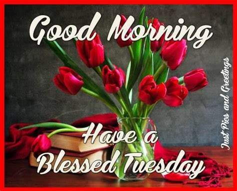 Pretty Good Morning Tuesday Blessings Quote Pictures Photos And
