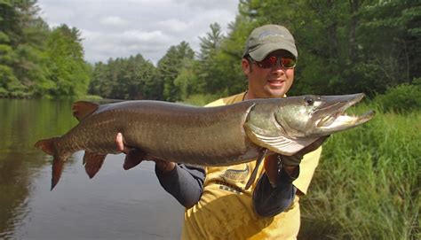 Fox River Valley Muskies Inc. Seminar | Wisconsin Bass Fishing Guide