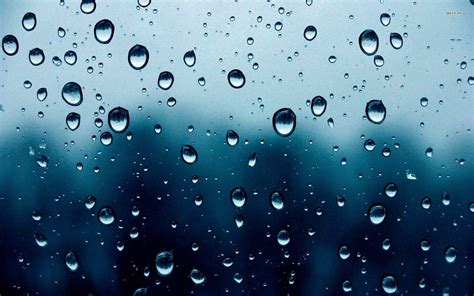 Rain Droplets Wallpapers Wallpaper Cave