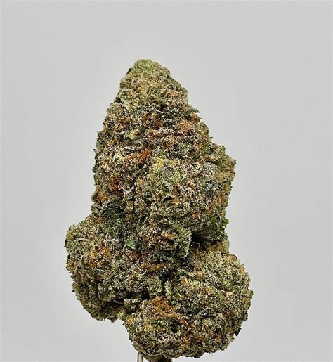 Candy Runtz Strain
