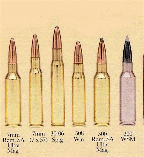 6 5 300 Weatherby Vs 7mm Rem Mag 🌈gallery Of Chart 6 5 Saum 7mm Rem Free Hot Nude Porn Pic Gallery