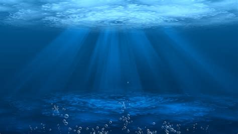 Hình nền Under water background 4k Cực kỳ sống động và rực rỡ