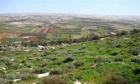 Panoramio Photo Of Israel Valley Of Elah