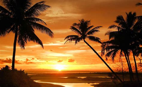 Beach Tropical Sunset Palms Fototapet Tapet På Europostersdk