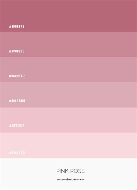 Pink Rose Colour Scheme Colour Palette Color Palette Pink Hex Color Palette Pantone