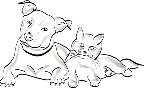400 Free Dog Cat And Dog Images Pixabay