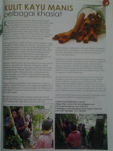 Selain sering digunakan sebagai bahan dapur kita juga dapat untuk asalnya sendiri bumbu rempah ini sudah lama sekitar 5000 tahun digunakan di mesir. BIDANG MASAKAN DUNIA HIDUPKU: Pelbagai Khasiat Kulit Kayu ...