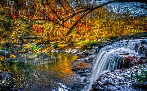 Beautiful Cascading Waterfall Fall River Forest Tree With