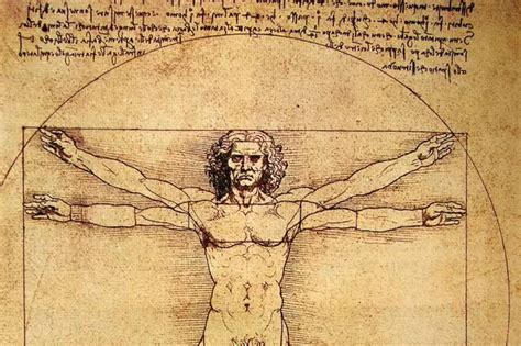 Omul Vitruvian Al Lui Leonardo Da Vinci Lucruri Pe Care Nu Le Tiai