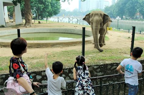 Chỉ còn 03 ngày sẽ kết thúc chương trình giá vé 75k nắng lên rồi, tranh thủ vui chơi thôi nào các bạn ơi! 10 địa điểm khu vui chơi cho trẻ em ở Hà Nội hấp dẫn nhất ...