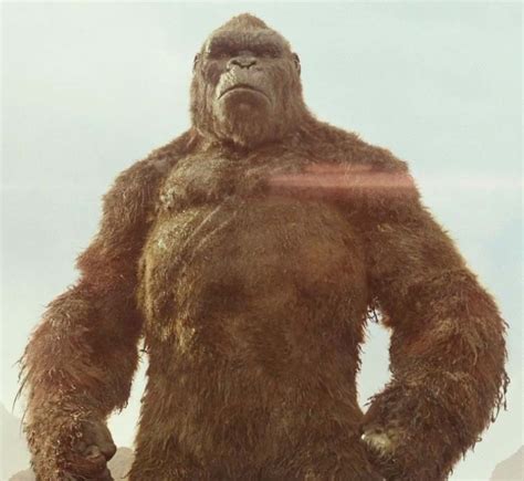 Kong Legendary Series Monsterverse Wiki Fandom