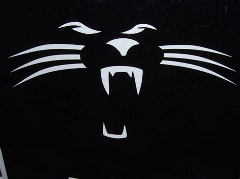 Carolina Panthers Cat Car Window Sticker Decal In White