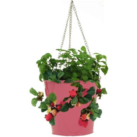 Enameled Galvanized Steel Strawberry Herb And Floral Hanging Planter