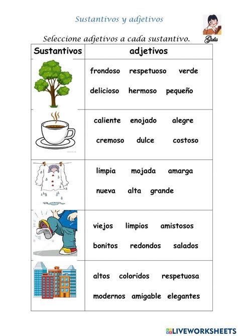 The Words In Spanish Are Used To Describe Different Things