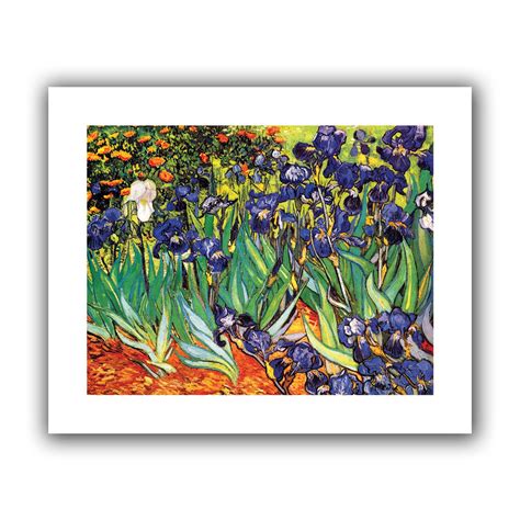 Browse 154 guido barilla stock photos and images available, or start a new search to explore more stock photos and images. ArtWall Vincent van Gogh 'Irises in the Garden' Unwrapped ...