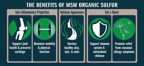 Msm Organic Sulfur Crystals By No Boundaries Health And Wellness All Natural Premium Health