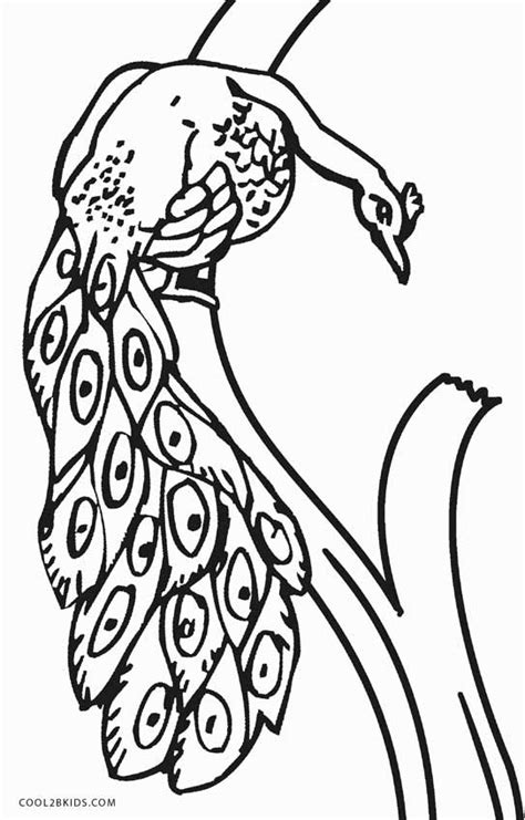 A larger version will open in a new tab or window. Printable Peacock Coloring Pages For Kids | Cool2bKids