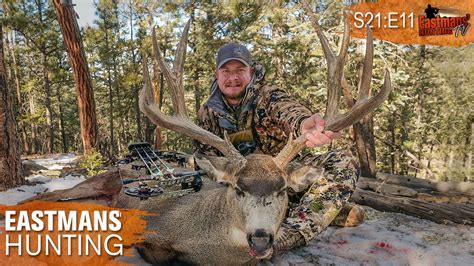 Mule Deer Rut Bow Hunt With Ike Eastman Youtube