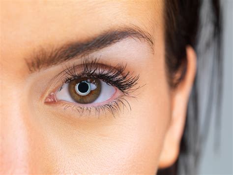 5 Tips For Perfect Eyebrow Maintenance Mind The Arch