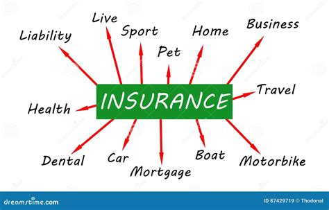 Insurance Mind Map Stock Illustration Illustration Of House 87429719