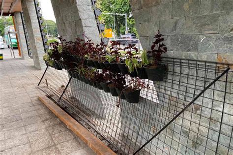 In a statement tuesday, august 10, moreno advised beneficiaries to behave and be disciplined in receiving the cash assistance from the. LOOK: Isko previews Manila's upgraded Lagusnilad Underpass ...