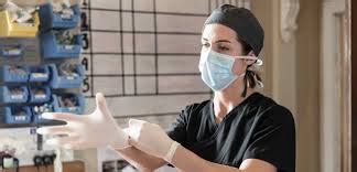 What is the meaning of designated workplace doctors (dwds