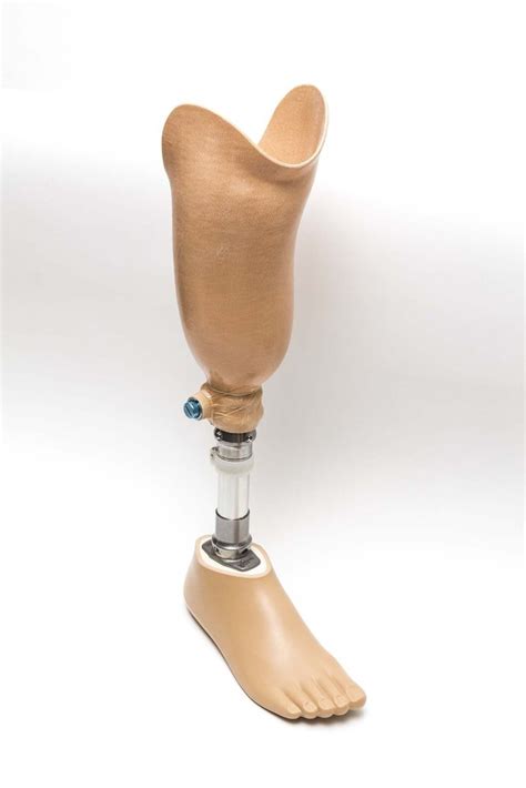 Lower Limb Below Knee Prosthesis Legs Functional Prosthetic At Rs