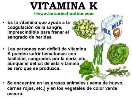 Propiedades De La Vitamina K Botanical Online