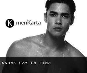 Sauna Gay en Lima Guía de lugares gay en Perú Menkarta
