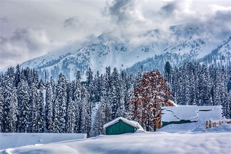 10 Free Gulmarg And Kashmir Images Pixabay