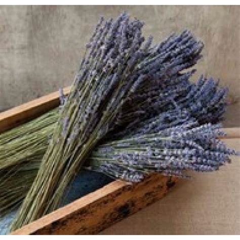 Farmhouse Style Dried Lavender Bundles