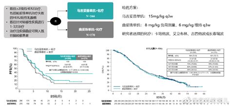 转移性her2 阳性乳腺癌的解救治疗：迈入新时代抗癌乳腺癌阳性新浪新闻