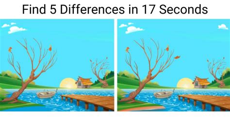 Spot The Difference Can You Spot 5 Differences In 17 Seconds