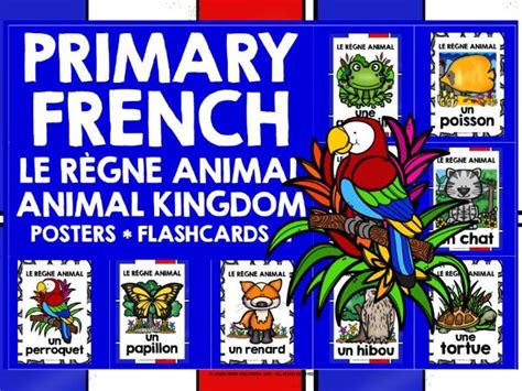 PRIMARY FRENCH ANIMALS POSTERS FLASHCARDS #1 | Teaching Resources