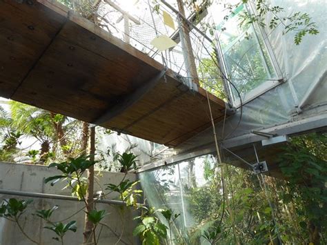 Die app ist ein elektronischer führer durch den botanischen garten graz. Botanical Garden (Botanischer Garten) - Graz - Aktuelle ...