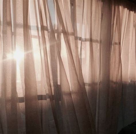 light brown aesthetic | Tumblr