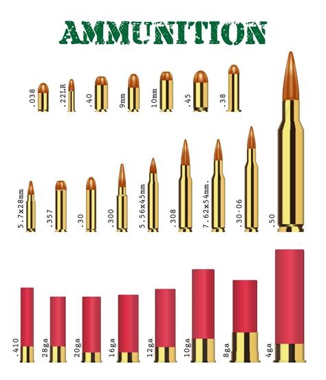 Real Set Of Many Types Of Gun Ammunition Vector 2262064 Vector Art At