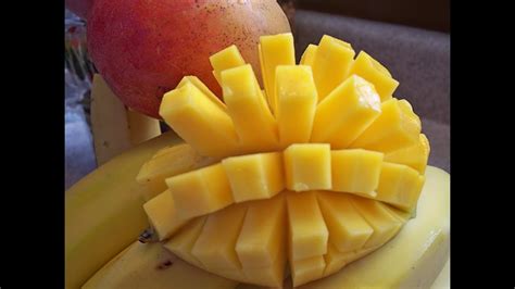 Now set the bottom edge of one mango cheek along the rim of a glass. How to cut a Mango- The RIGHT Way! - YouTube