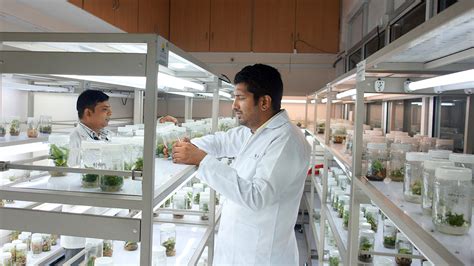Plant Tissue Culture And Elite Planting Material Laboratory
