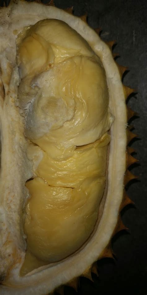 The durian (/ˈdjʊəriən/) is the fruit of several tree species belonging to the genus durio. Warisan Petani: Buah Durian