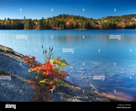 Beautiful Fall Nature Scenery Of Acid Lake At Killarney Provincial
