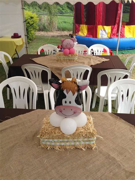 Target.com has been visited by 1m+ users in the past month Farm/Barnyard Birthday Party Ideas | Photo 27 of 33 | Farm ...