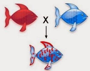The important part is that the offspring with express each allele independently, such as having spots of one color, then spots of another color. # 130 Codominance and inheritance of blood group | Biology ...