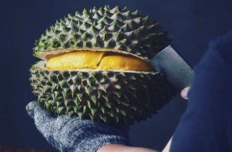 Inilah cara tepat pemupukan yang wajib diketahui agar tanaman. Dampak Wabah Virus Corona, Harga Durian Musang King Anjlok ...