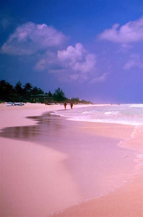 Maybe you would like to learn more about one of these? Pink Sand Beach, Harbour Island, Bahamas. -Looks even more ...