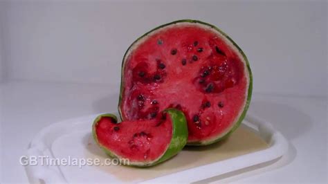 Rotting Watermelon Hd Youtube