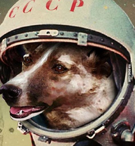 3 November 1957 The Soviet Space Dog The Soviet Union Launches The